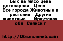 Бык на мясо цена договарная › Цена ­ 300 - Все города Животные и растения » Другие животные   . Иркутская обл.,Саянск г.